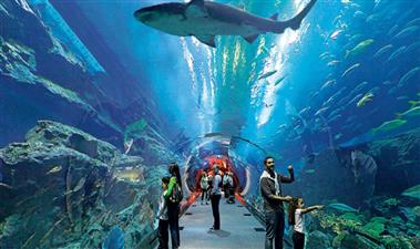popular Tours